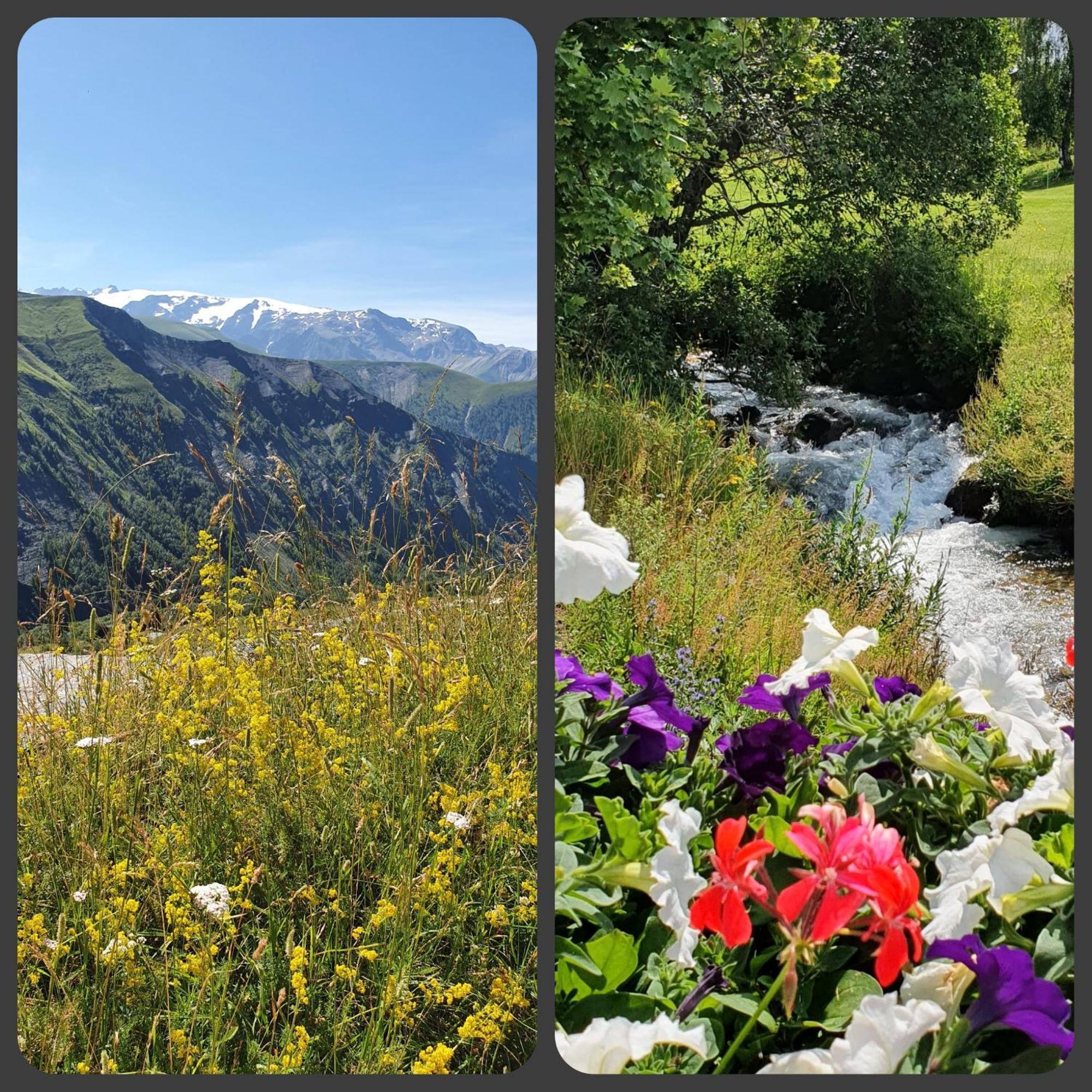 *nouveau* Pied Des Pistes * Piscine Ext. Chauffee*